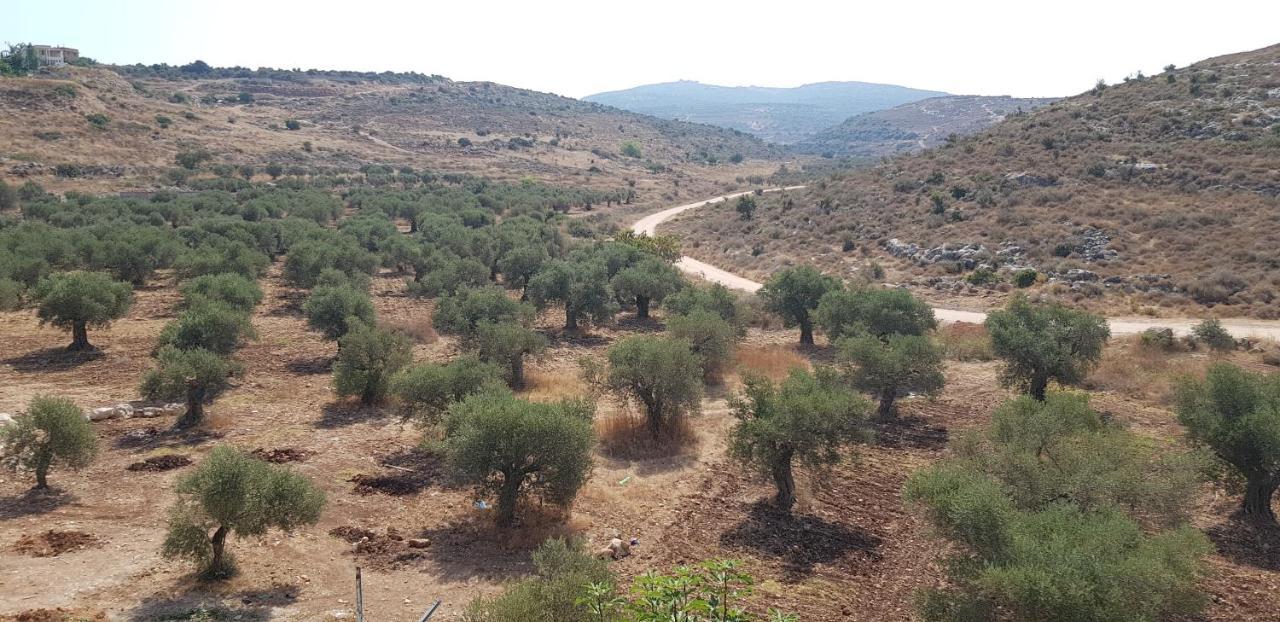 فندق Julis في  Miamor المظهر الخارجي الصورة